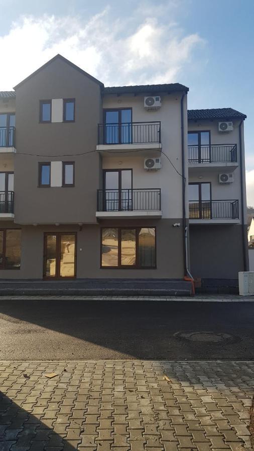 Apartament 9 Budiu Târgu-Mureş 外观 照片